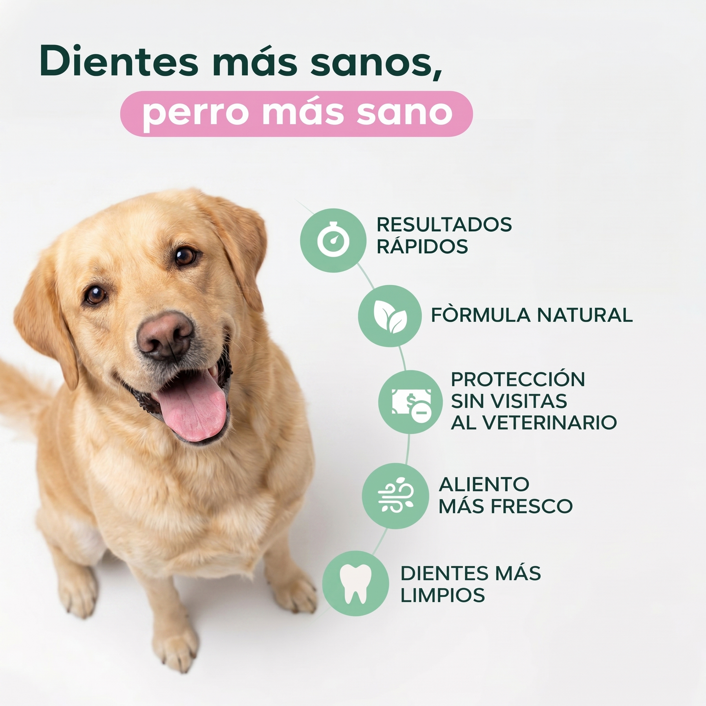 ORALPET™ - Spray Anti Sarro Dental