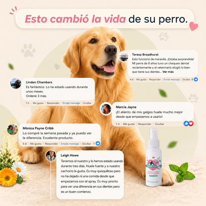 ORALPET™ - Spray Anti Sarro Dental